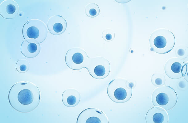 細胞の浸透圧をイメージした画像