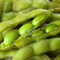枝豆の栄養と効能